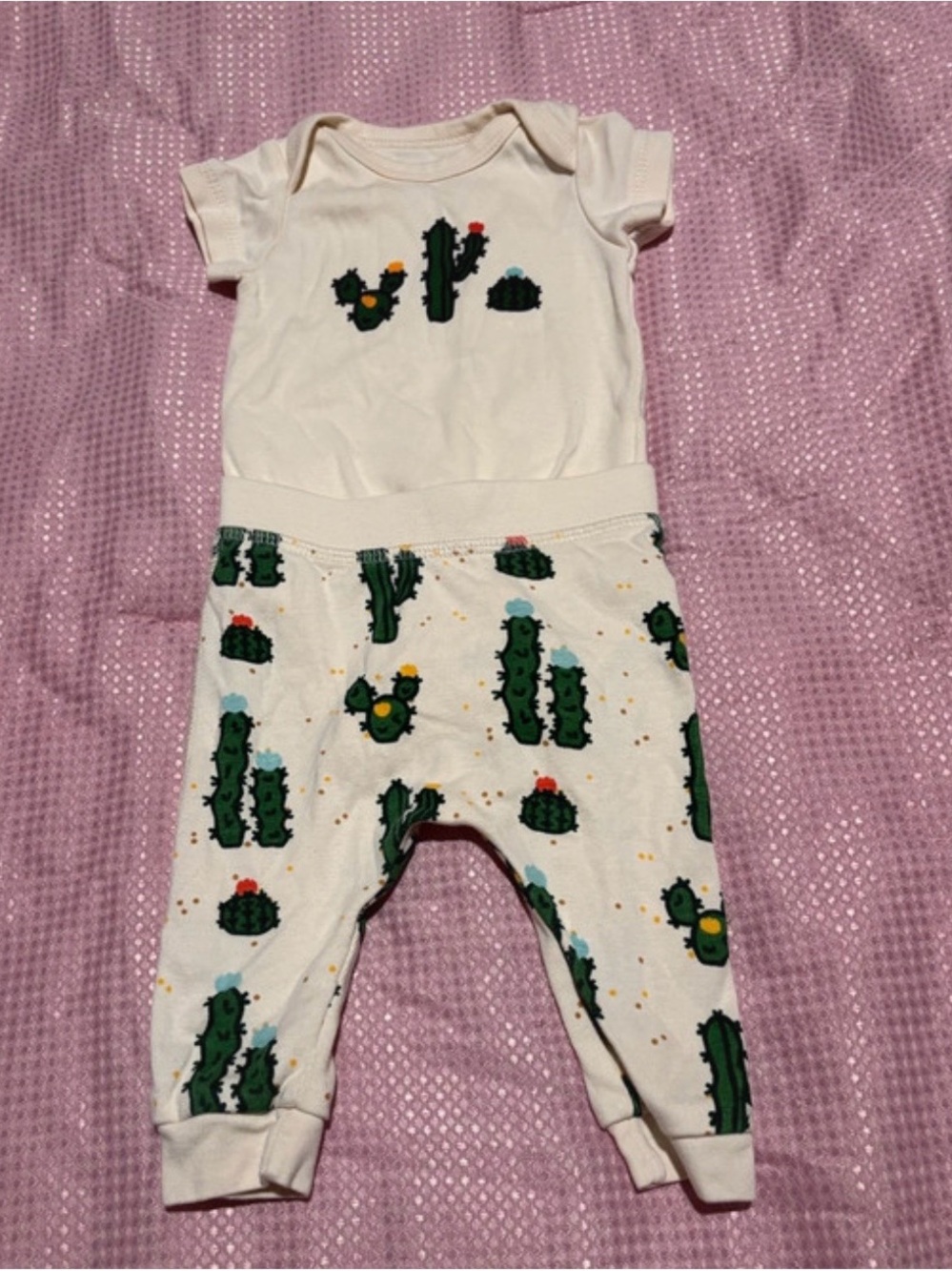 Monica + Andy Cactus Bodysuit and Pants Set Size 0-3 Months Like New Condition